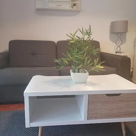 דירה Climatise Centre Port Piscine אגדה